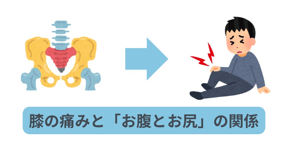 膝とお尻の関係